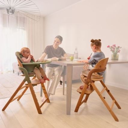 Lionelo - Chaise de repas 3 en 1 pour enfant MEGAN Bois gris