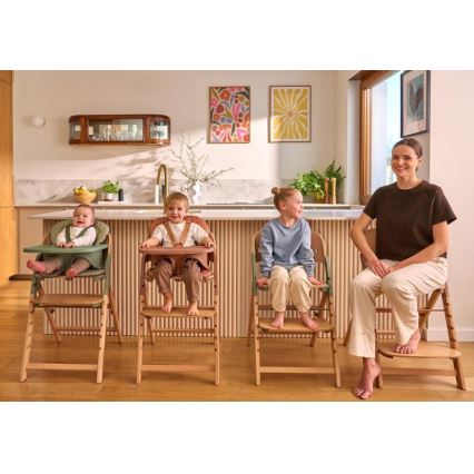 Lionelo - Chaise de repas 3 en 1 pour enfant MEGAN Bois Vert