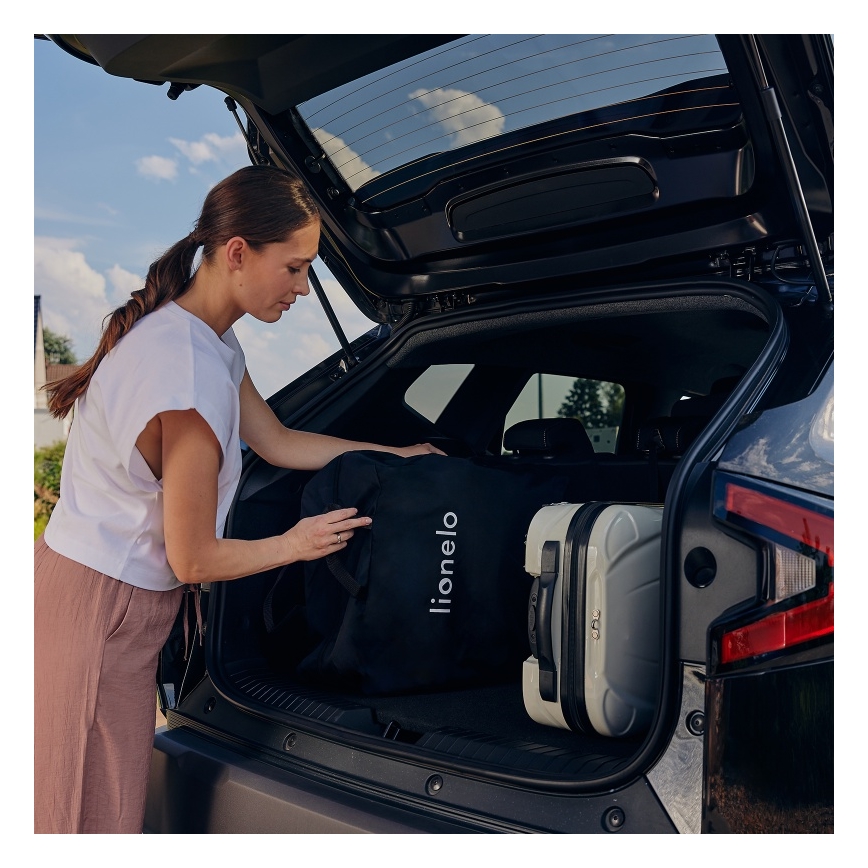 Lionelo - Poussette de sport JULIE ONE Golden Moments