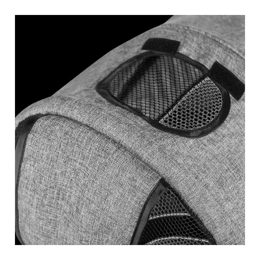 Lionelo - Tricycle enfant TRIS gris