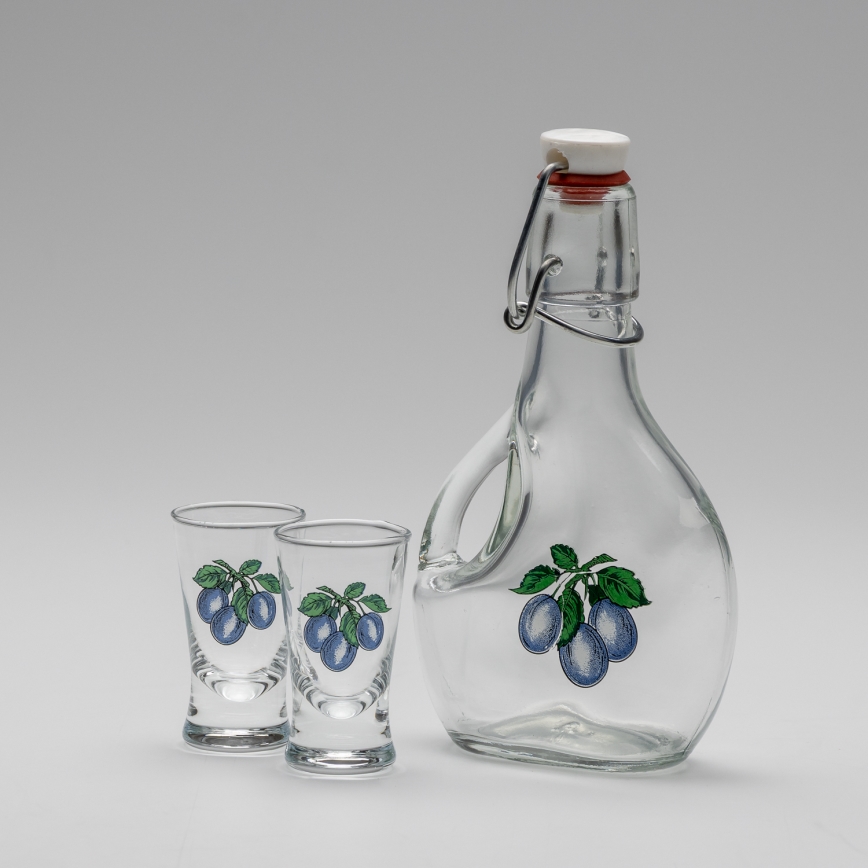 LOT 1x grande bouteille + 2x verre à shots transparent avec motif prune