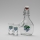 LOT 1x grande bouteille + 2x verre à shots transparent avec motif prune