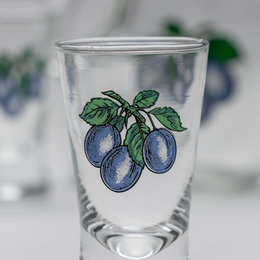 LOT 1x grande bouteille + 2x verre à shots transparent avec motif prune