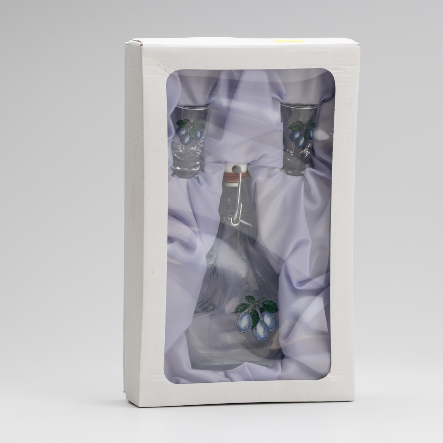 LOT 1x grande bouteille + 2x verre à shots transparent avec motif prune