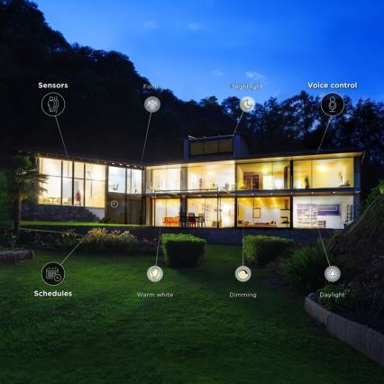 LOT 2x Ampoule LED à intensité variable GU10/6,5W/230V 2700-6500K Wi-Fi - WiZ