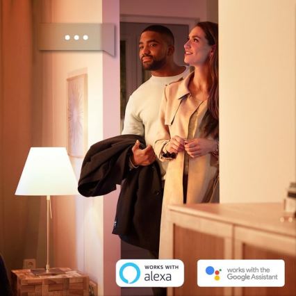 SET 2x Ampoule LED à intensité modulable Philips HUE WHITE E27/9W/230V