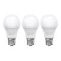 LOT 3x Ampoule LED ECOLINE A60 E27/10W/230V 6500K - Brilagi