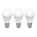 LOT 3x Ampoule LED ECOLINE A60 E27/15W/230V 6500K - Brilagi