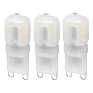 LOT 3x Ampoule LED ECOLINE G9/2,5W/230V 3000K - Brilagi