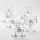 Lot 6x tasse en verre avec une soucoupe et 1x sucrier transparent bouquet n° 3