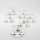 Lot 6x tasse en verre avec une soucoupe transparent bouquet n° 2