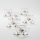 Lot 6x tasse en verre avec une soucoupe transparent bouquet n° 3