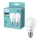 Lot de 2 ampoules LED Philips A60 E27/4,9W/230V 2700K