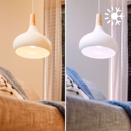 Lot de 2 ampoules LED RGB à intensité variable Philips SMART A60 E27/12,5W/230V 2200-6500K