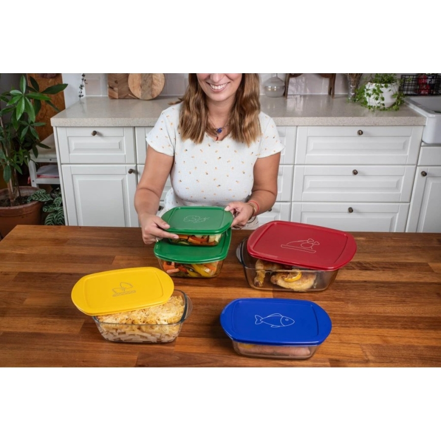 Lot de 2 boîtes alimentaires en verre PYREX 1,2 et 2,5 l