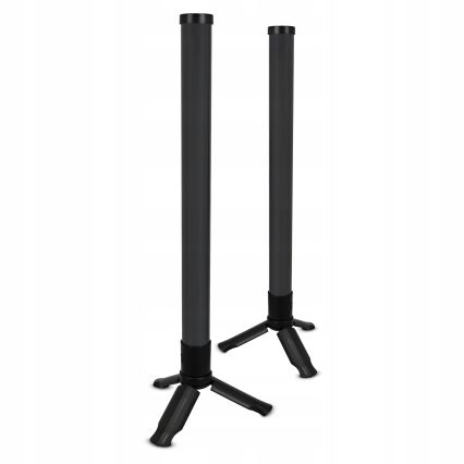 Lot de 2 lampes de table LED RGBIC dimmables, 5 W/5 V, noir + télécommande
