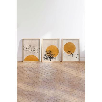 Lot de 3 tableaux encadrés 50x70 cm beige/orange