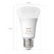 LOT - Ruban RGBW à intensité variable Philips Hue WHITE AND COLOR AMBIANCE 2m LED/20W/230V + 2x Ampoule à intensité variable LED Philips A60 E27/9W/230V 2000-6500K