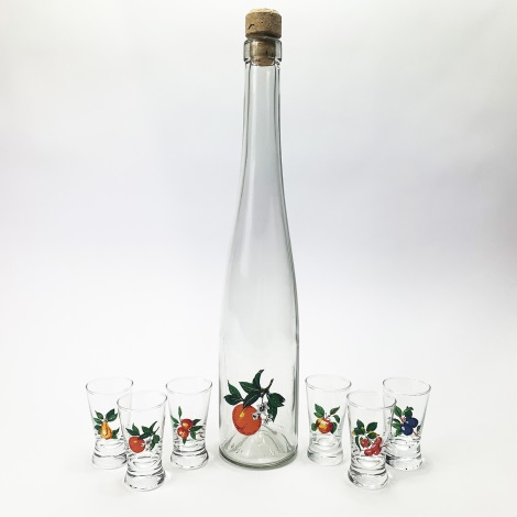 lot x1 0,5l bouteille en verre et x6 verre à shot transparent avec motif de  fruit