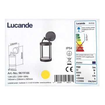 Lucande - Applique murale d'extérieur CAIUS LED/12W/230V IP54