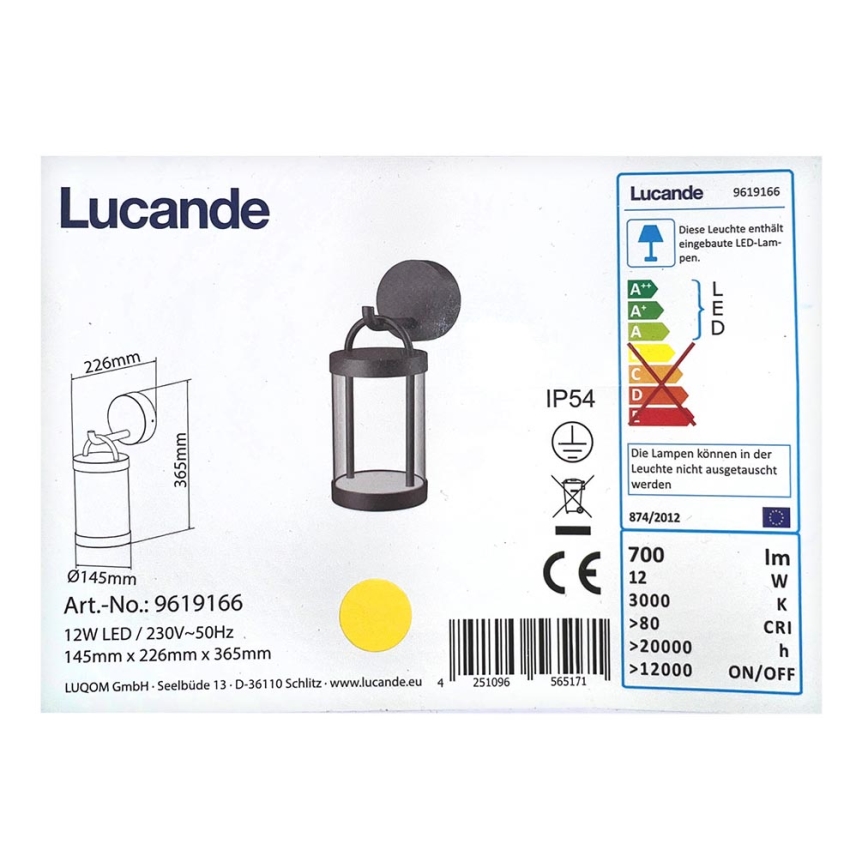 Lucande - Applique murale d'extérieur CAIUS LED/12W/230V IP54