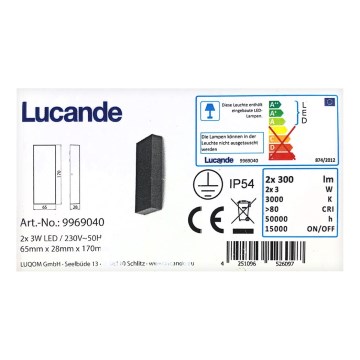 Lucande - Applique murale extérieure CORDA 2xLED/3W/230V IP54