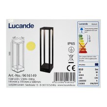 Lucande - Lampe extérieure CARLOTA LED/15W/230V IP65