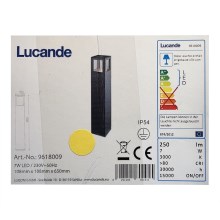 Lucande - Lampe extérieure NICOLA LED/7W/230V IP54