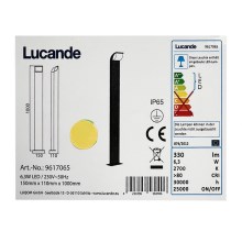 Lucande - Lampe extérieure TINNA LED/6,3W/230V IP65