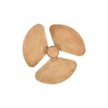 Lucci Air 21325549 - Ventilateur de plafond LED dimmable SABLE 1xGX53/12W/230V 3000/4000/5000K Ø 91,5 cm marron + télécommande