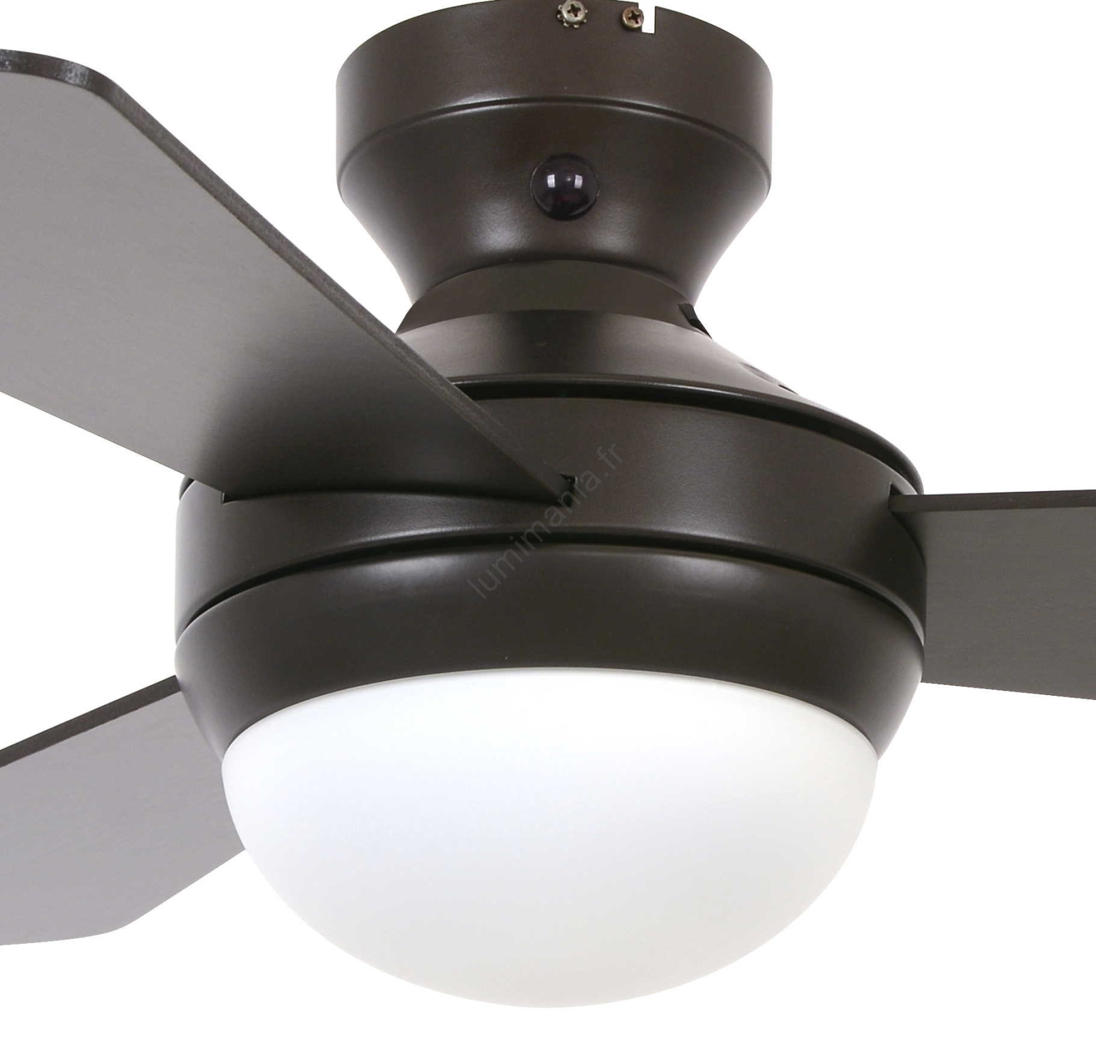Petit ventilateur de plafond Zoternen avec télécommande pour éclairage