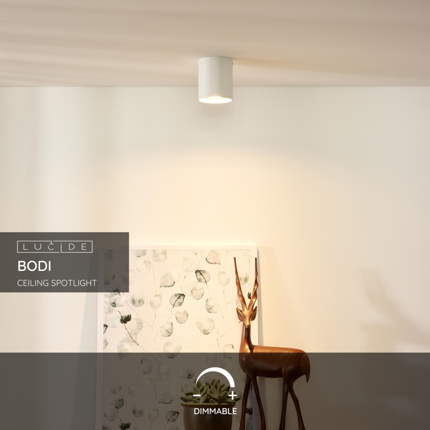 Lucide 09100/01/31 - Spot BODI 1xGU10/50W/230V