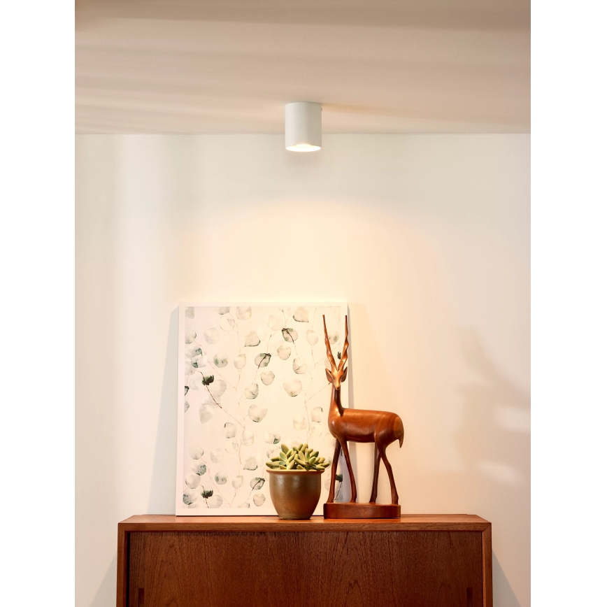Lucide 09100/01/31 - Spot BODI 1xGU10/50W/230V