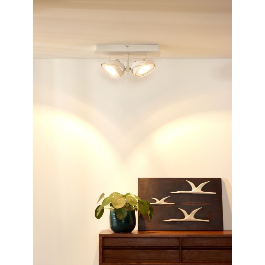 Lucide 09988/24/31 - Spot LED SPEKTRUM 2xG53/12W/12V blanc