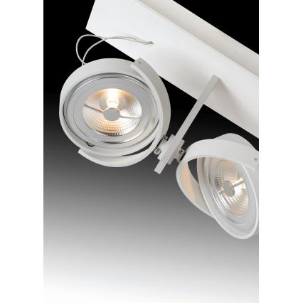 Lucide 09988/24/31 - Spot LED SPEKTRUM 2xG53/12W/12V blanc