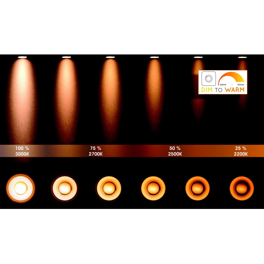 Lucide 22969/48/30 - Luminaire LED point-à-point GRIFFON 4xGU10/12W/230V