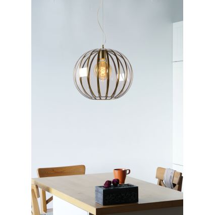 Lucide 25404/40/03 - Lustre avec fil TIMIUS 1xE27/60W/230V
