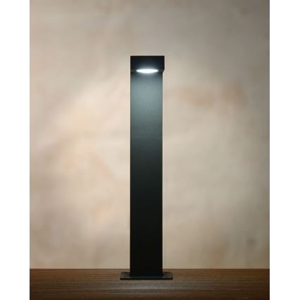 Lucide 28851/40/30 - Lampe extérieure TEXAS LED/8W/230V noir 40 cm IP54