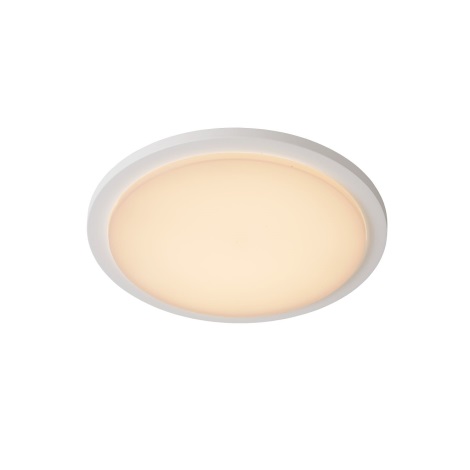 Lucide 28859/30/31 - Luminaire LED salle de bain ORAS LED/20W/230V blanc IP54