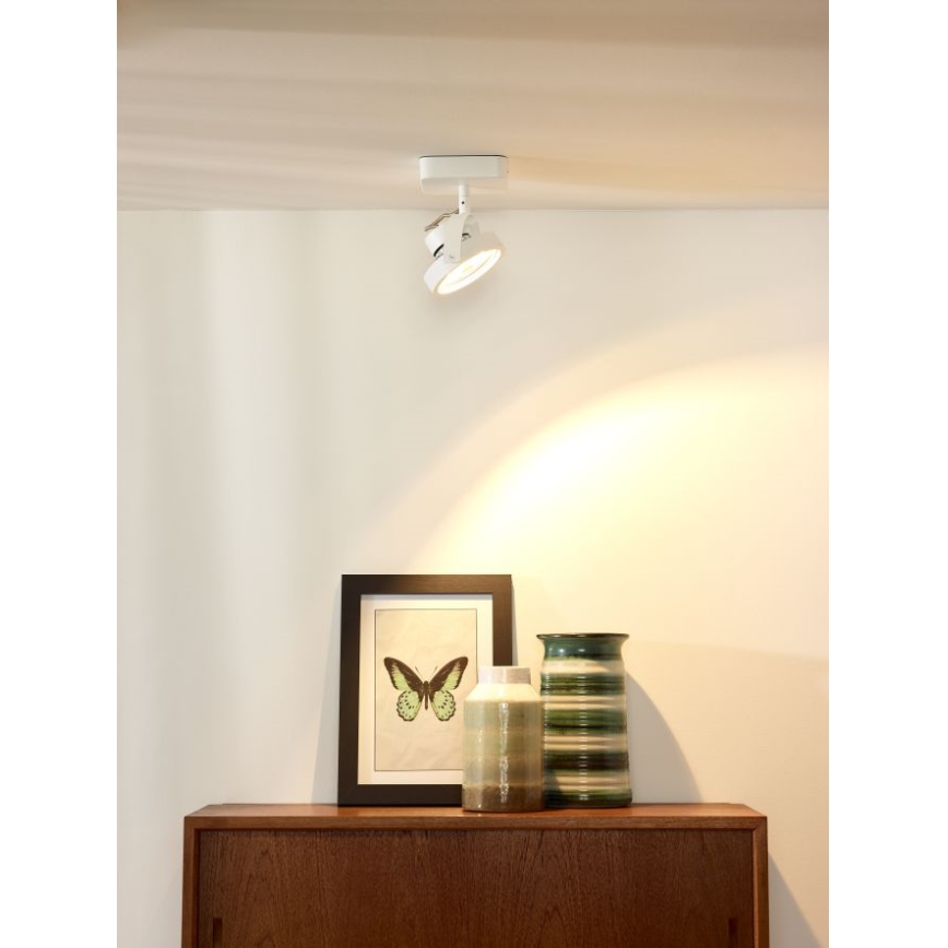 Lucide 31930/12/31 - Spot à intensité variable TALA LED 1xG53/12W/230V/12V