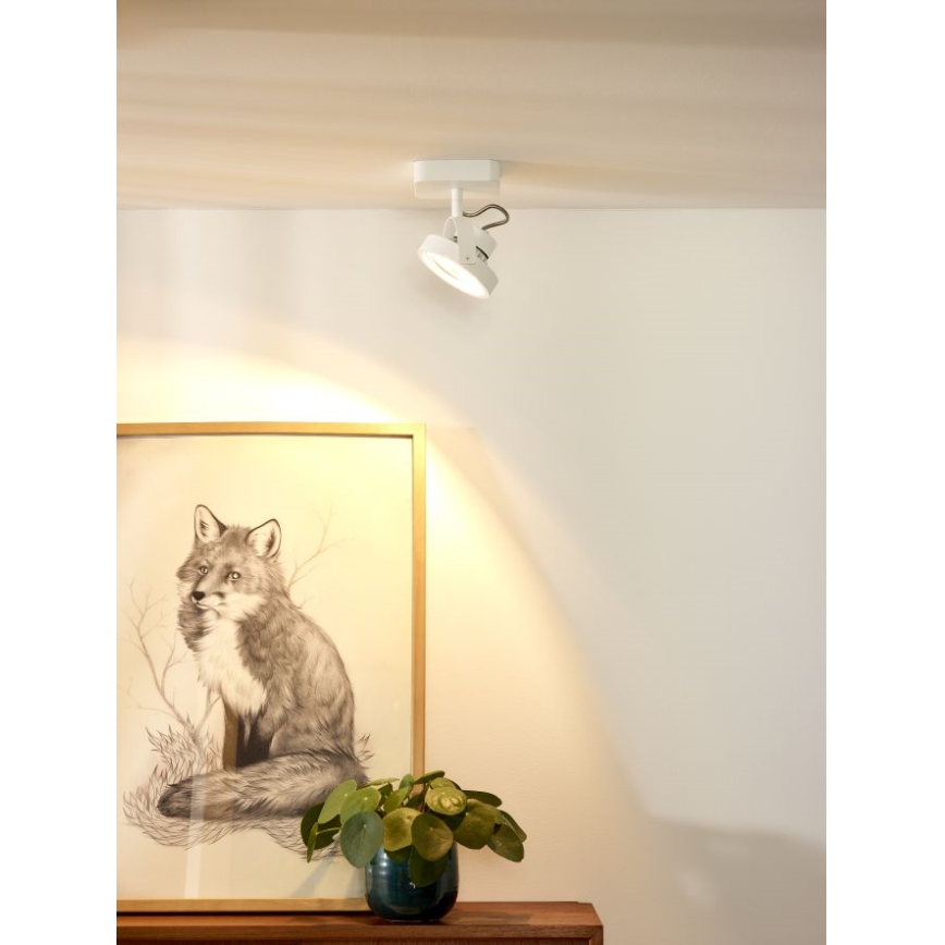 Lucide 31930/12/31 - Spot à intensité variable TALA LED 1xG53/12W/230V/12V