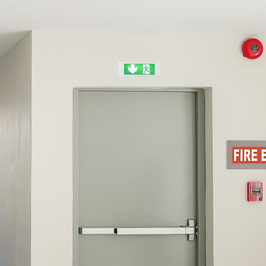 Lumière d'urgence EMERGENCY EXIT SAMSUNG CHIP LED/3,8W/230V 6000K