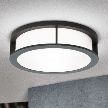 Luminaire d'extérieur HENRY 2xE27/15W/230V diam. 30 cm IP44 anthracite