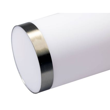 Lampe LED d'extérieur dimmable LIVIA 1xE27/6W/230V 2700-6500K Wi-Fi 100 cm IP44 argentée