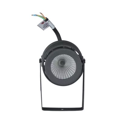 Luminaire extérieur LED/12W/100-240V IP65 gris - verre vert