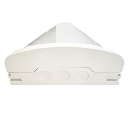 Luminaire fluorescent à intensité variable LED/35W/44W/52W/60W/230V 4000K 120 cm