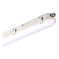 Luminaire fluorescent industriel SAMSUNG CHIP LED/70W/230V 4000K 150cm IP65