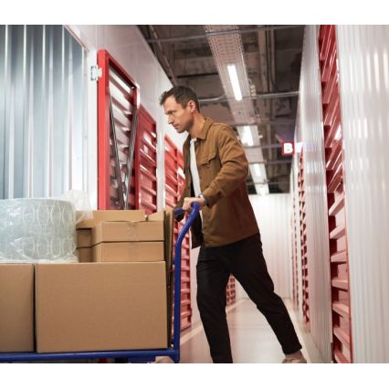 Luminaire fluorescent T8 DELFIA 2xG13/18W/230V 124 cm blanc