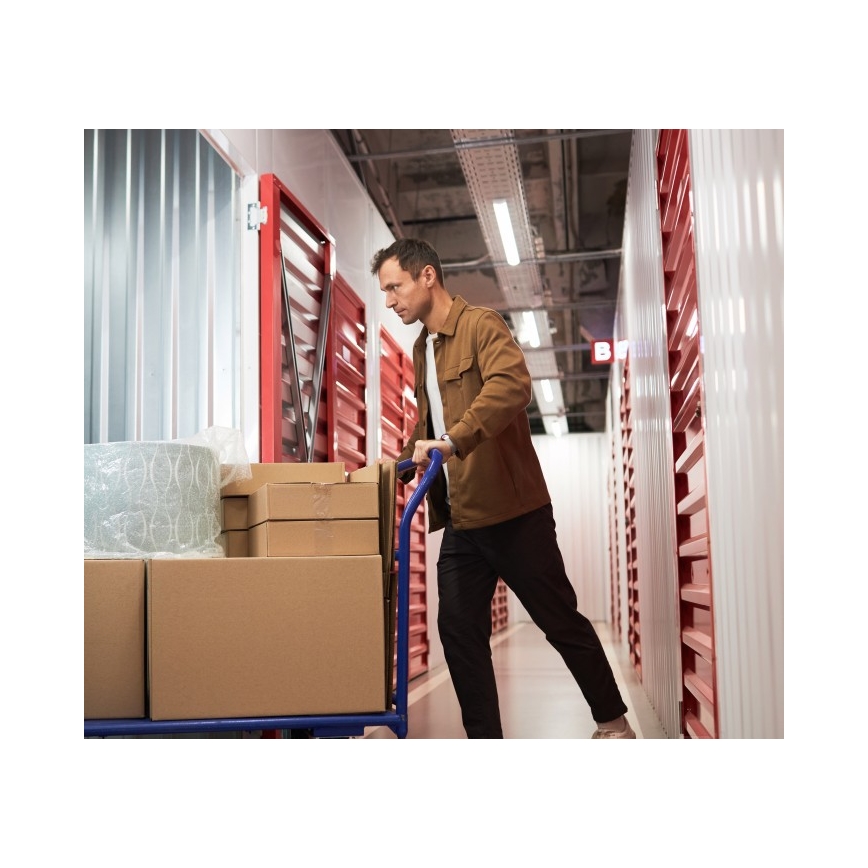 Luminaire fluorescent T8 DELFIA 2xG13/18W/230V 124 cm blanc