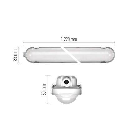 Luminaire industriel à intensité variable MISTY LED/21/26/31/35W/230V 6500K IP66
